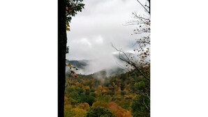 Blick auf eine bewaldete Berglandschaft mit Herbstlaub.