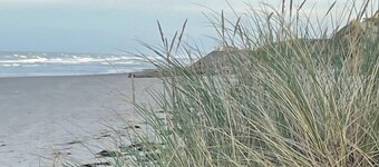 GĂTE LES EPINES Ă proximitĂ© de la baie de somme / baie de l'Authie
