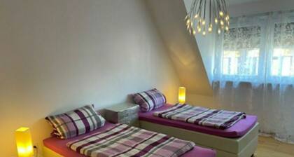 FeWo4 beautiful first floor apartment in downtown Lampertheim