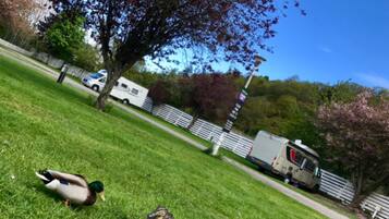 Kabin | Halaman properti