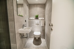 A modern bathroom with a sink, toilet, and a mirror.