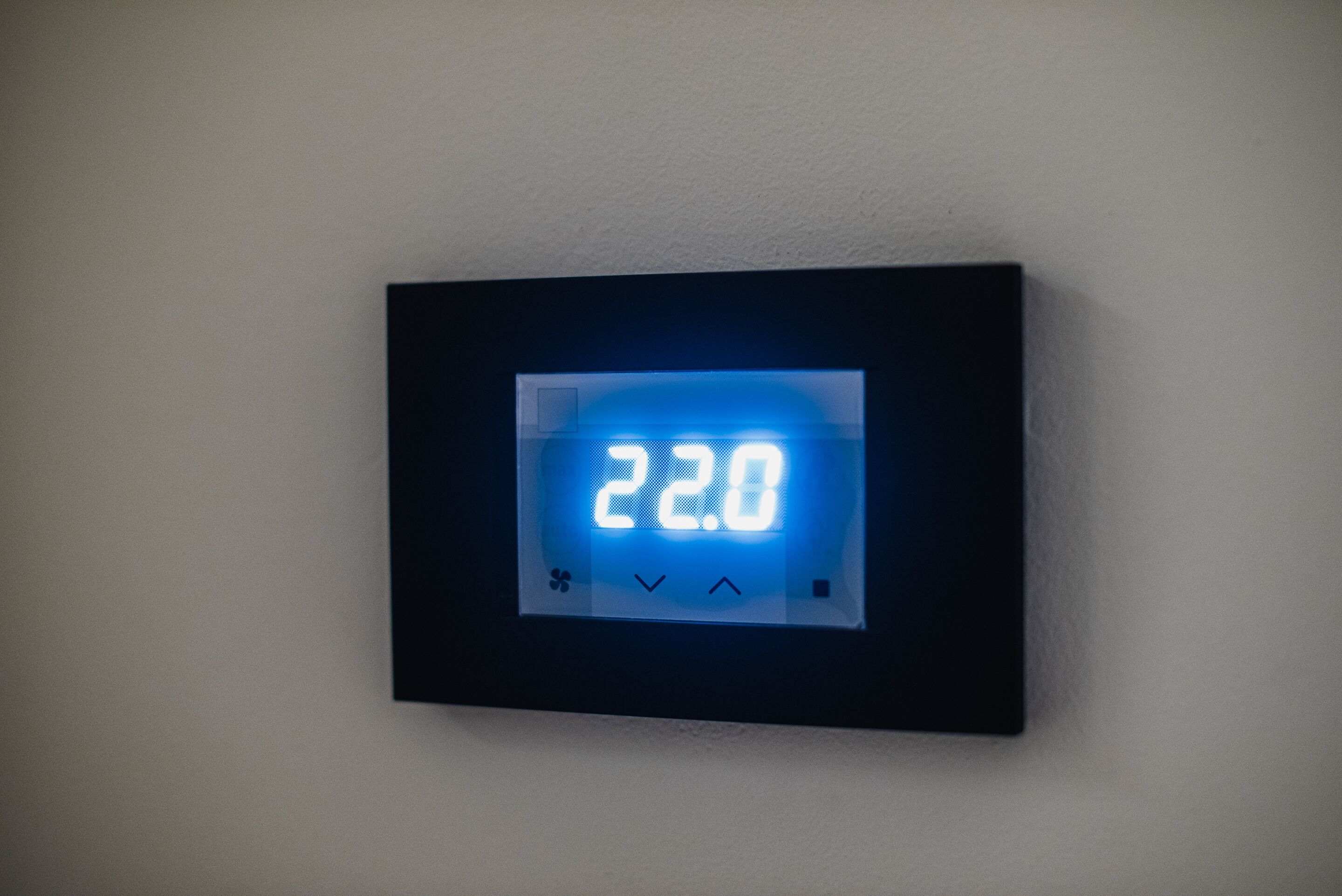 Foto - Dragons Dream Hostel