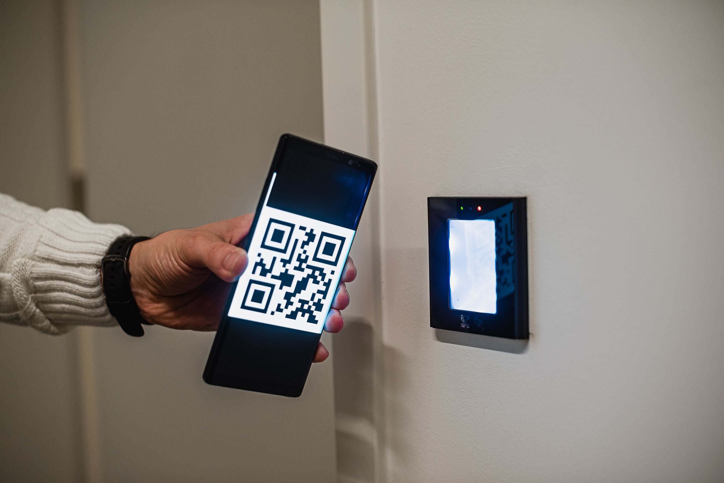 Foto - Dragons Dream Hostel