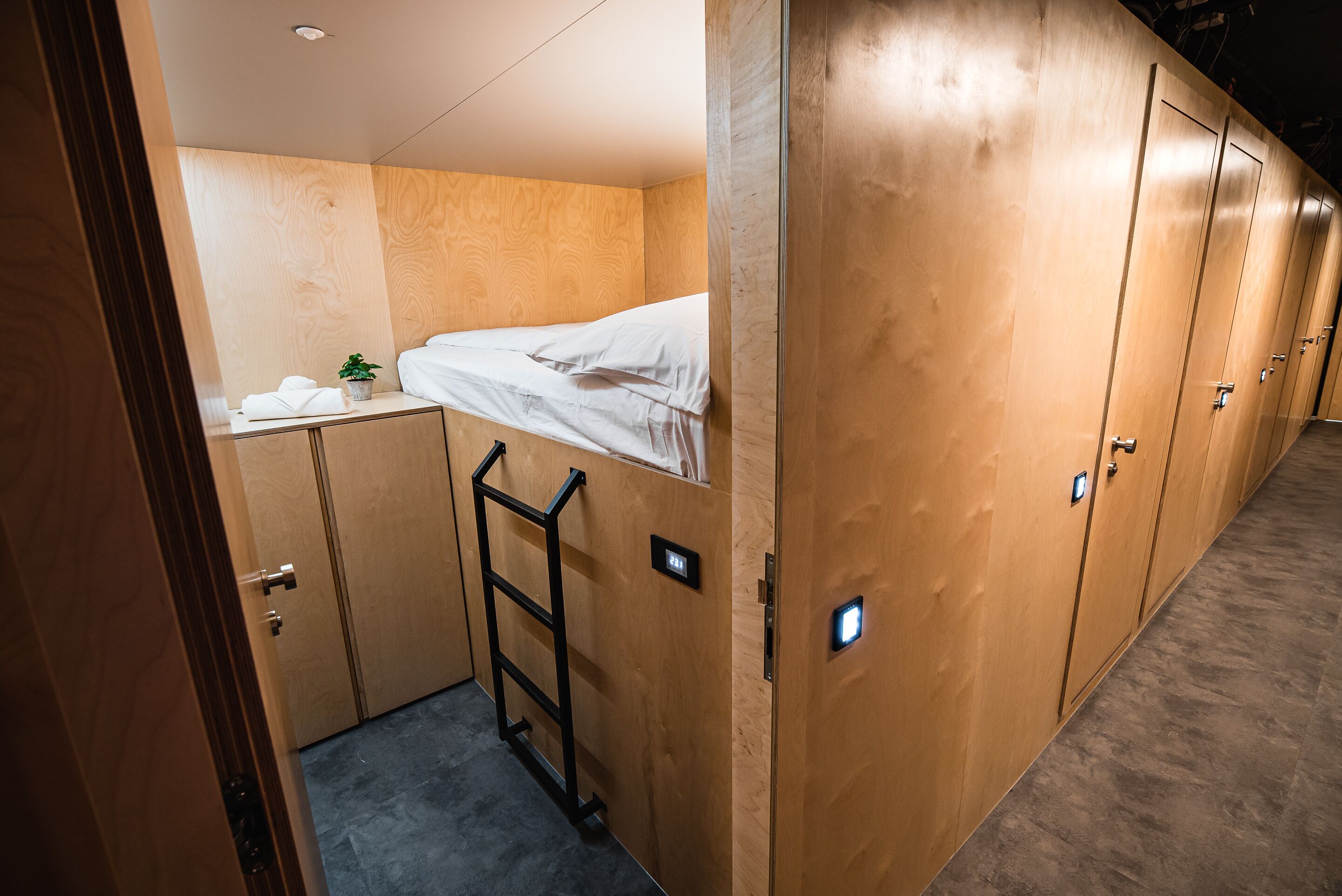 A compact room with a bunk bed, a small table with a plant, and a ladder.