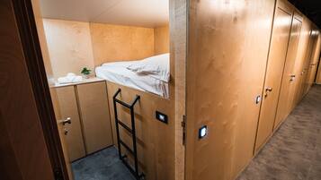 A compact room with a bunk bed, a small table with a plant, and a ladder.