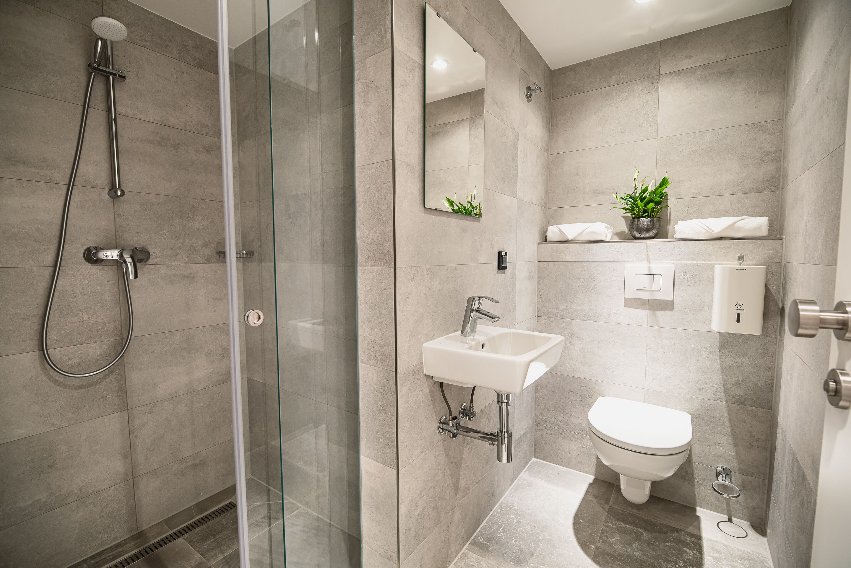 Foto - Dragons Dream Hostel