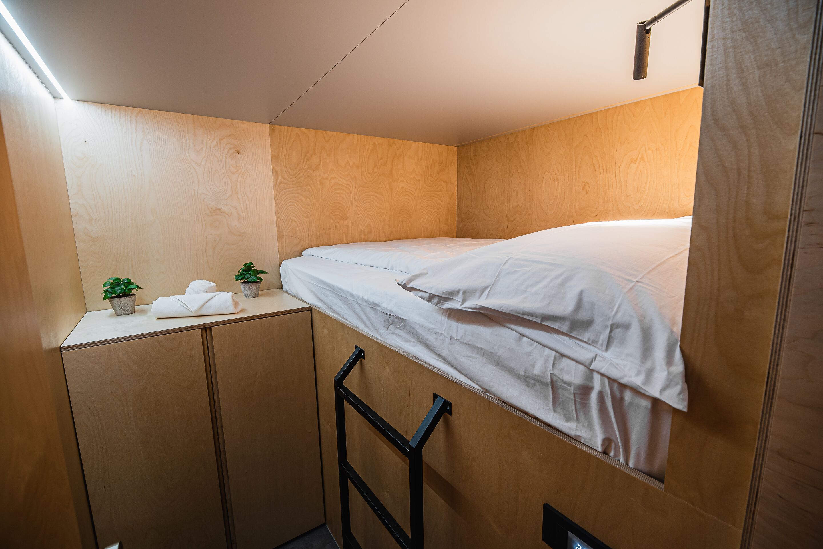 Foto - Dragons Dream Hostel