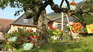 Una casa con un árbol grande en primer plano, rodeada de macetas con plantas y flores.