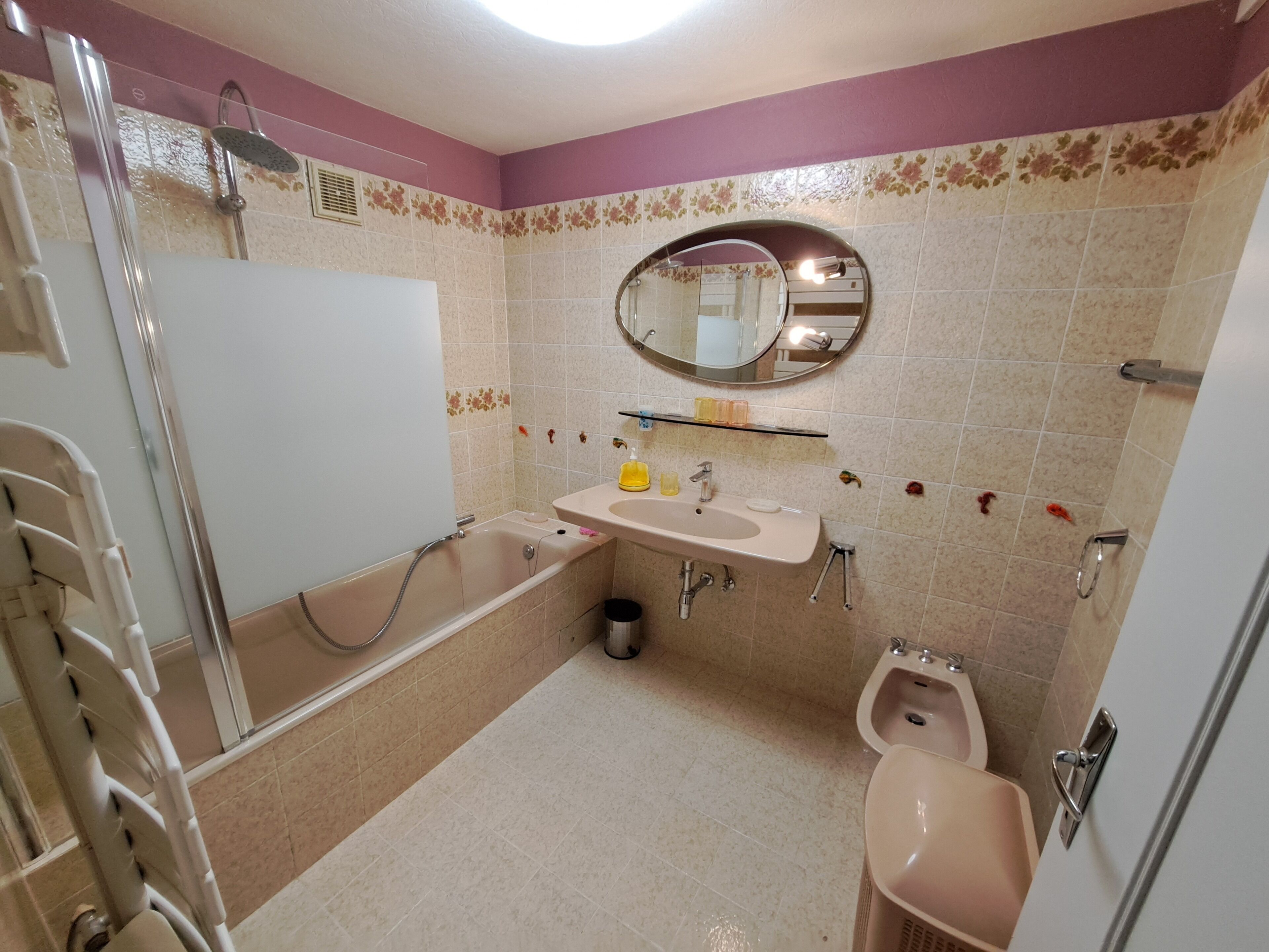 Hair dryer, bidet, towels, toilet paper