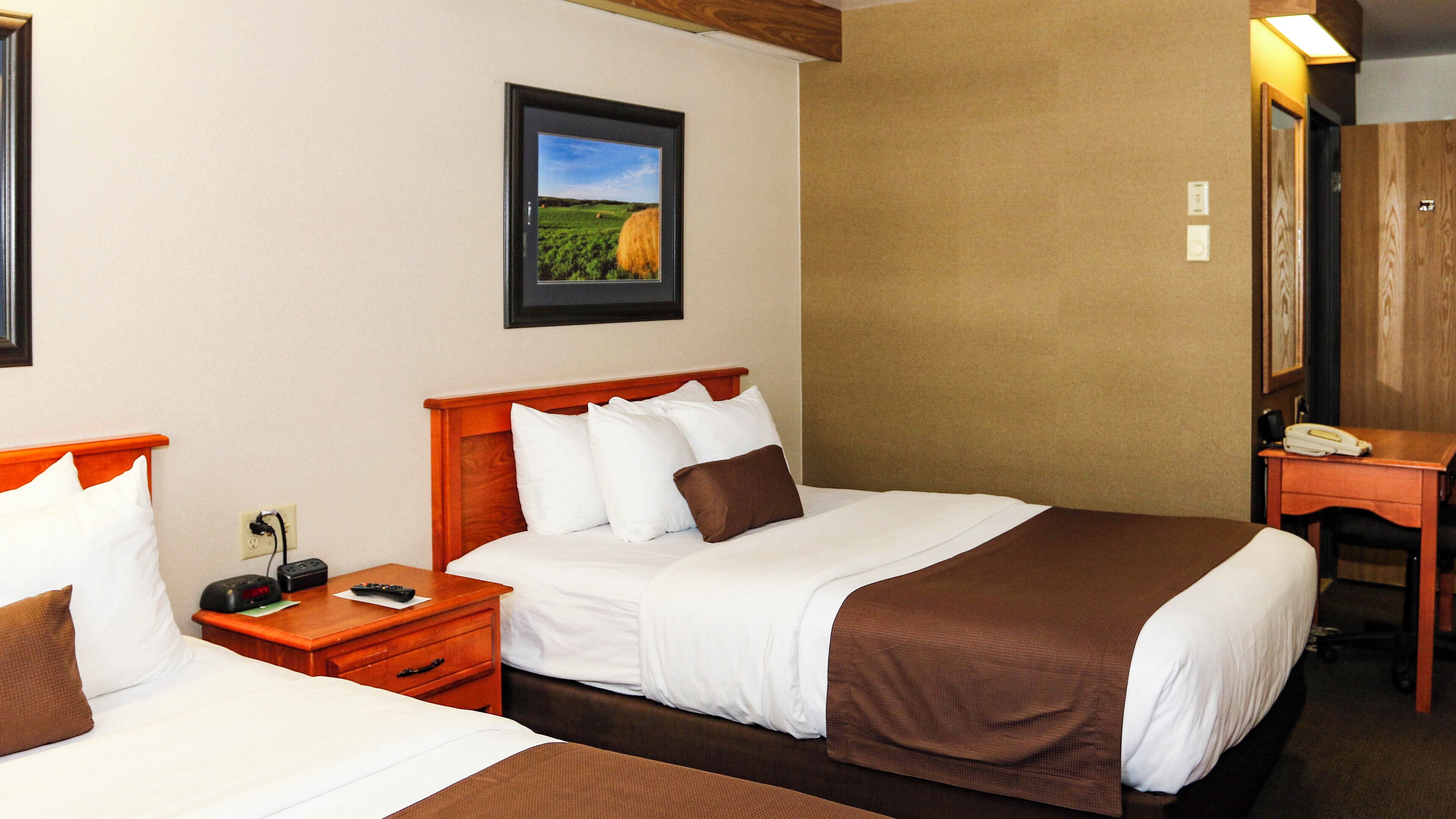 Escritorio, wifi gratis y ropa de cama 