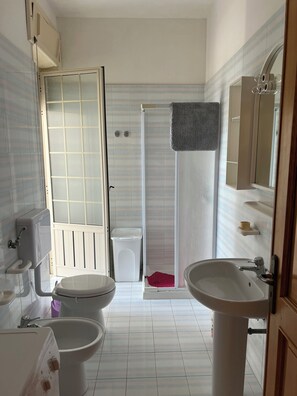Douche, séchoir à cheveux, bidet, serviettes fournies