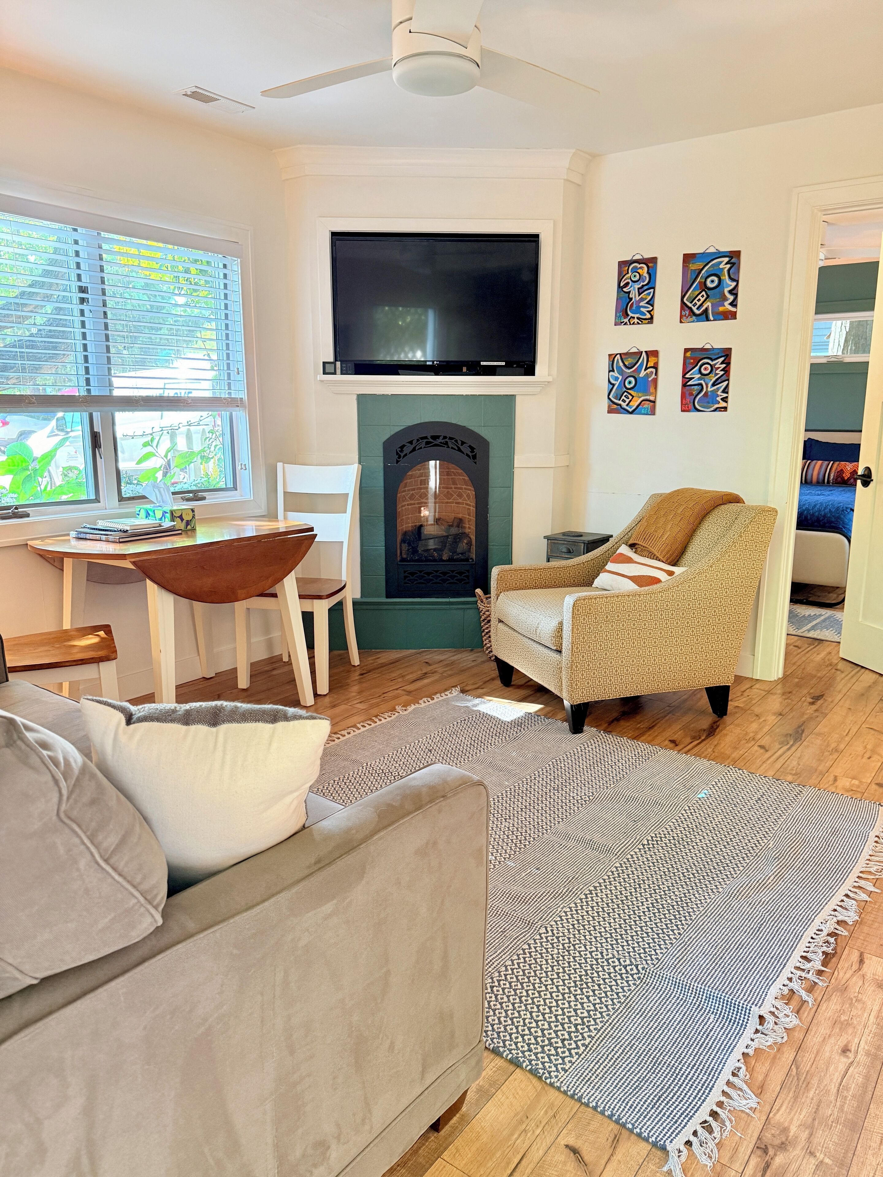 Smart TV, chimenea y libros 