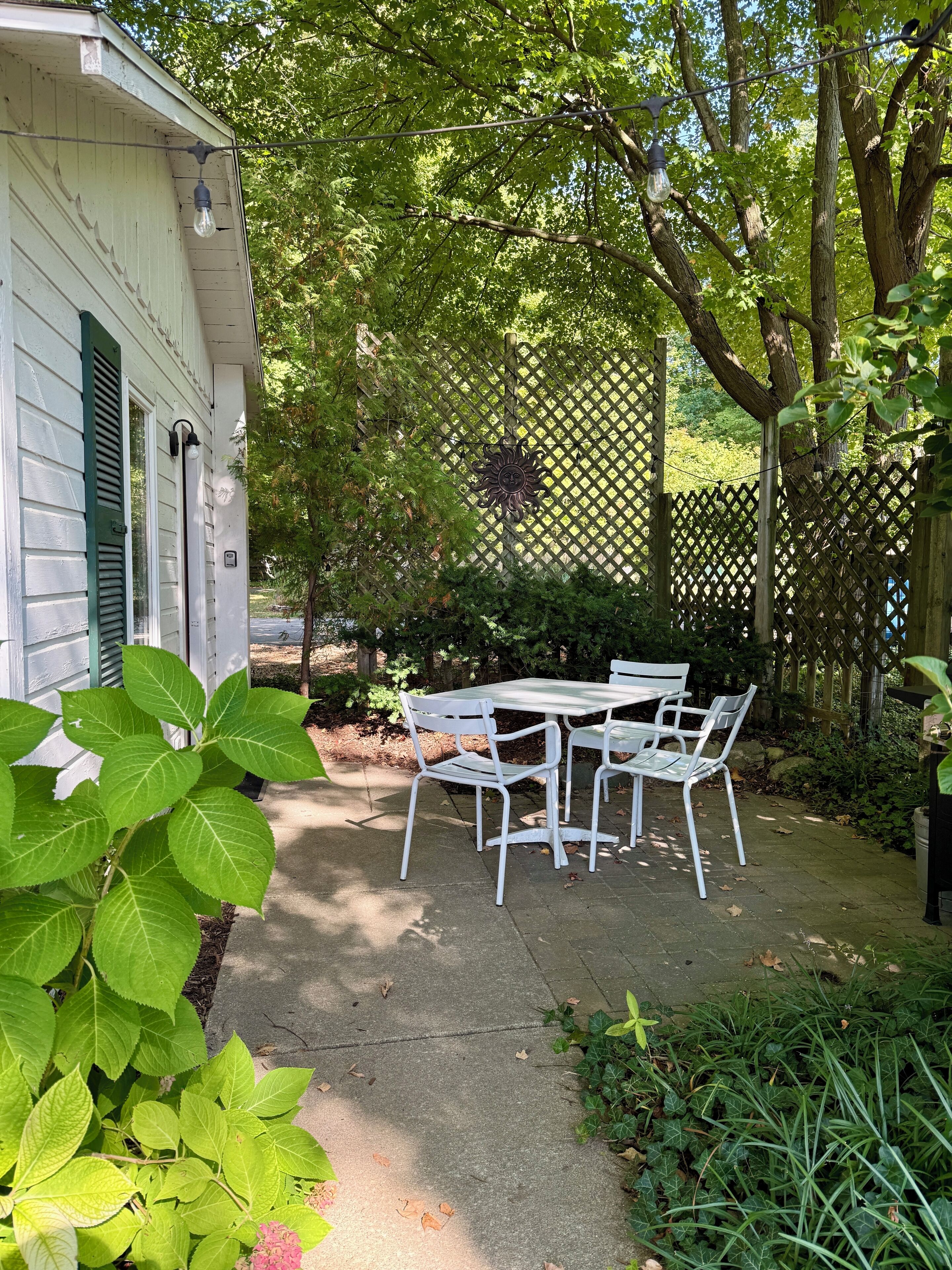 A patio with a table and chairs, surrounded by greenery and a wooden fence.