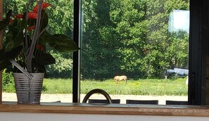 Billede uden beskrivelse, 3 af 12, knap