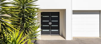 Swainson on Lexington