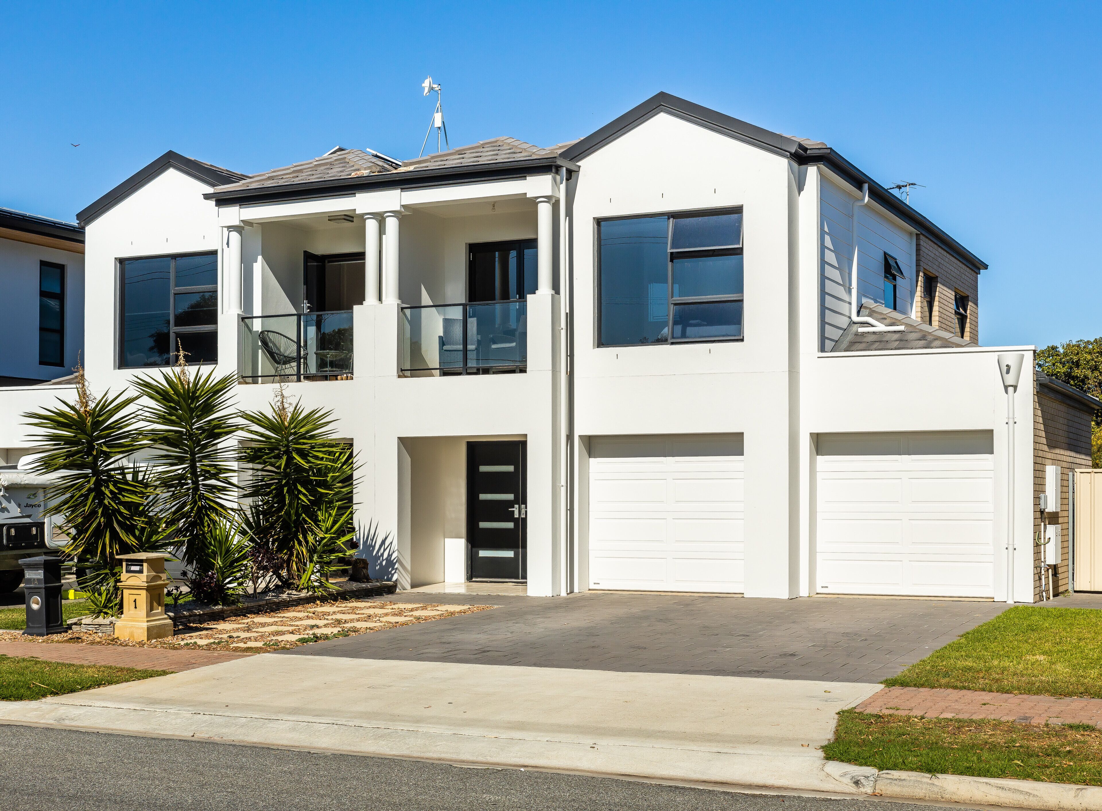 Swainson on Lexington