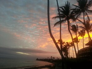 Zonsondergang met palmbomen en een strand.