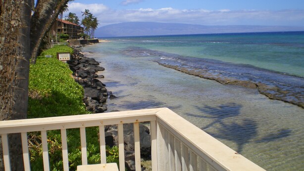 A beachfront property with a wooden deck, rocky shoreline, and palm trees.