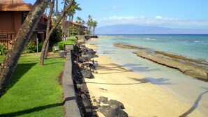 A beach with a stone wall, palm trees, and a building with a red roof.