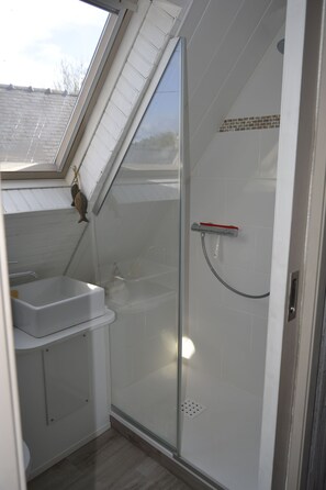 Shower, hair dryer, toilet paper