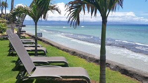 Un área de descanso en la playa con tumbonas y palmeras, con vista al océano.