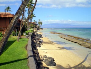 Une plage avec un mur de pierres, des palmiers et un bâtiment doté d’un toit rouge.