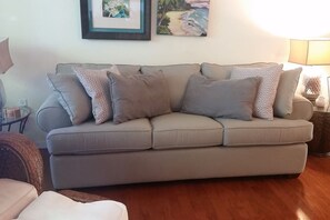 Una Smart TV, un reproductor de DVD, libros