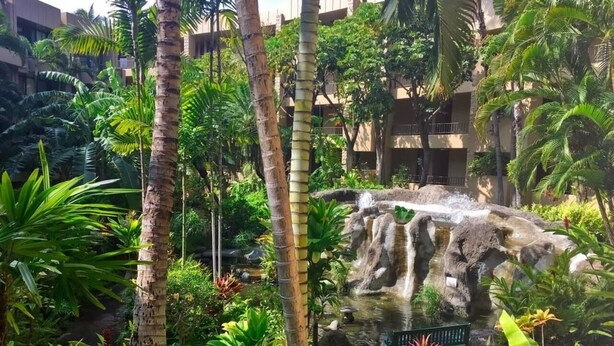 A lush garden with a waterfall, palm trees, and a bench. - Ext Maint Special up to 50% disc Ocean Sunset Vw! (Lahaina)
