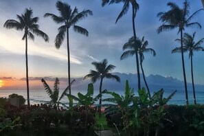 A tropical landscape with palm trees and a view of the ocean at sunset. - 1Bed Oceanview and Sunset Vw! Pool Spa (Lahaina)
