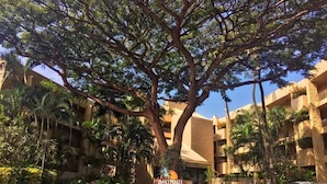 A hotel entrance with a large tree, palm trees, and a sign reading "Paki Maui". - Ext Maint Special up to 50% disc Ocean Sunset Vw! (Lahaina)