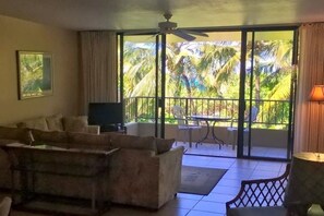 Smart TV, DVD player, books