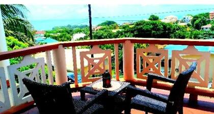 Paradise View Studio Apartment #1