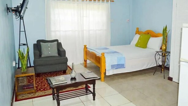 A bedroom with a bed, a chair, a small table, a ladder, and a potted plant. - Samuels Apartment #2 (Kingstown)