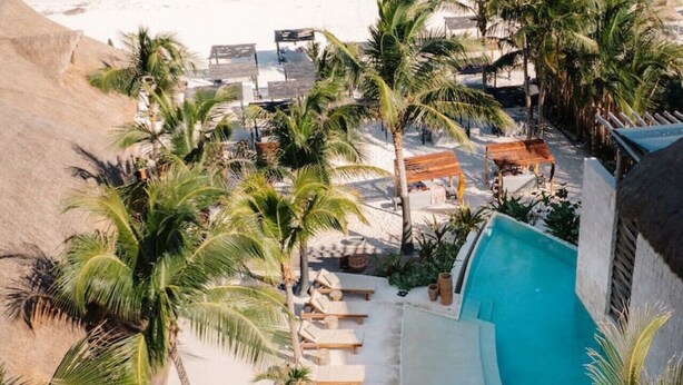 Un complexe hôtelier doté d’une piscine, d’une plage et de palmiers.
