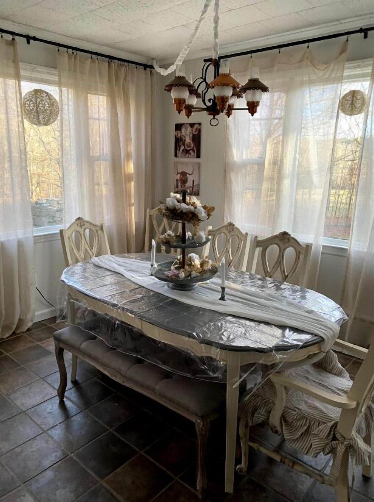 Image de profil de l’hôte