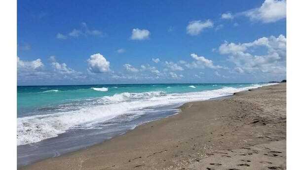 A beach with clear skies and waves. - Beautiful Hutchinson Island Condo - Steps to Ocean (Fort Pierce)