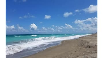 Una spiaggia nelle vicinanze, lettini da mare