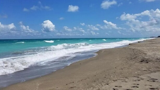 Una playa con cielos despejados y olas.
