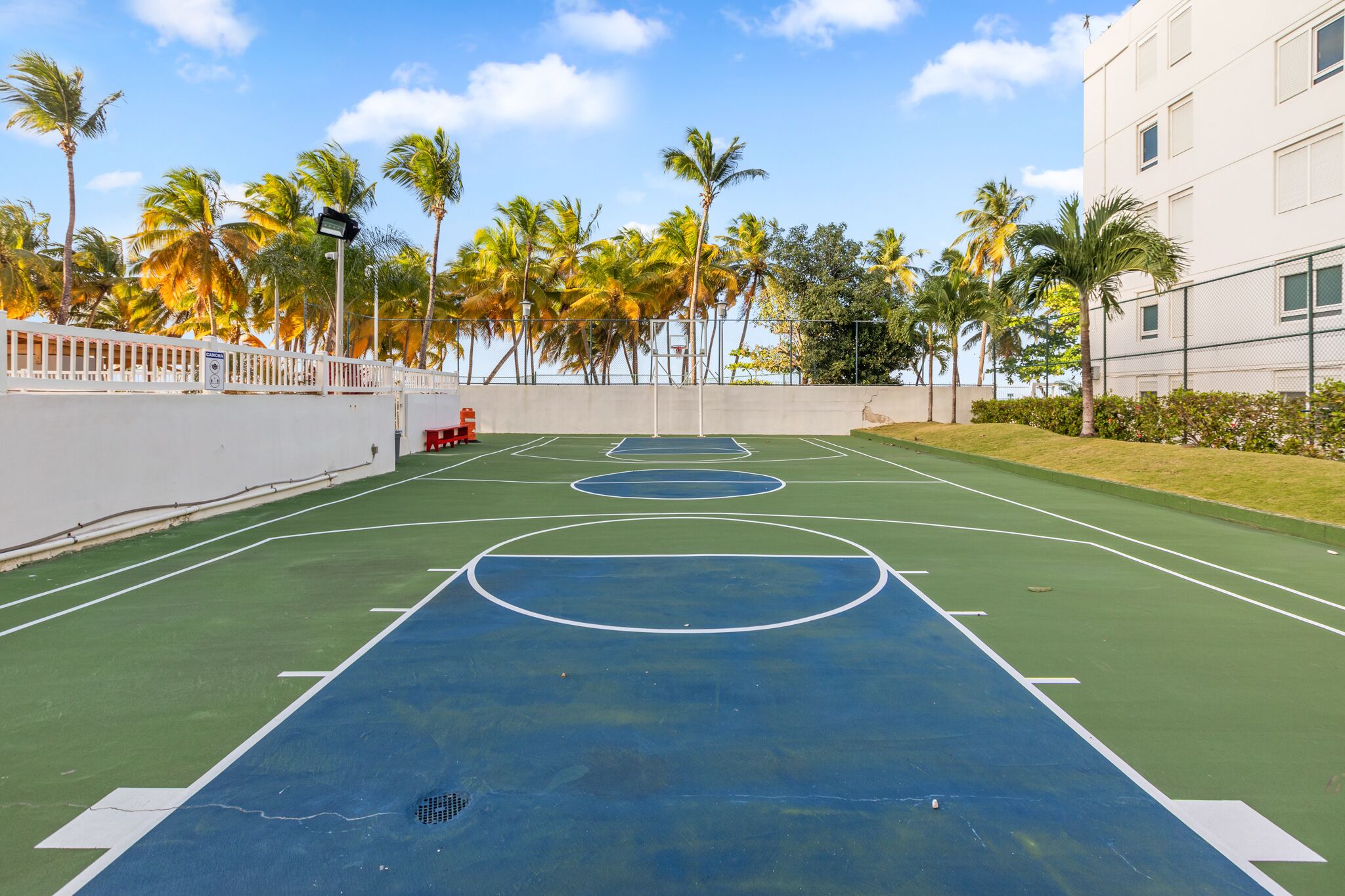 An outdoor basketball court with green and blue markings, surrounded by palm trees and a white building.