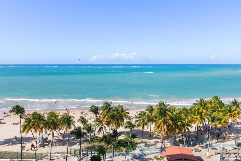 A beach with palm trees, a pool, and a clear view of the ocean.