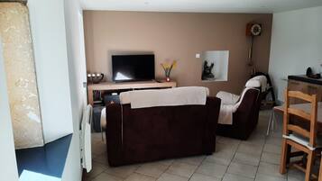 Télévision, cheminée, lecteur de DVD