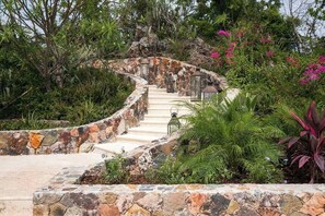 A stone staircase surrounded by lush greenery and flowering plants.