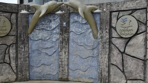 A dolphin-themed entrance with a stone wall and two doors. - Golden Dolphin Supreme - Achei Férias (Caldas Novas)