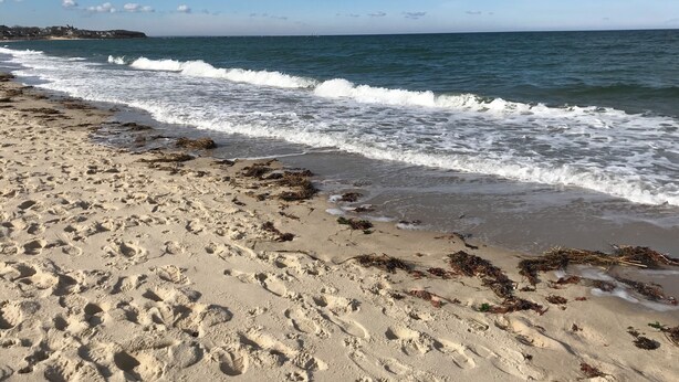 A sandy beach with footprints and seaweed, leading to the ocean. - Cozy Condo close to Sesuit (Dennis)