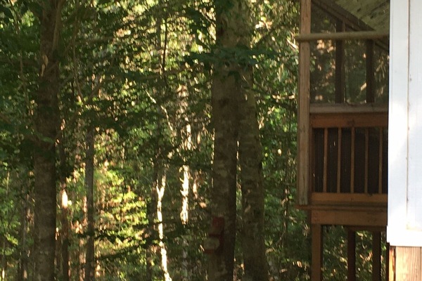 Àrea exterior de l'allotjament