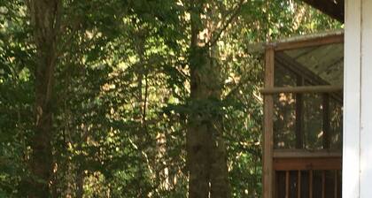 Family and Pet friendly- Shirley Creek lake house at Sam Rayburn!
