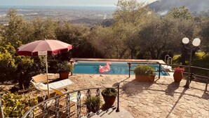 Ein Poolbereich mit Blick auf eine Stadtlandschaft, umgeben von Bäumen und Kübelpflanzen.