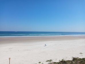 On the beach, sun-loungers, beach towels - DIRECT BEACHFRONT CORNER Unit Ponce inlet Daytona PRIVATE BALCONY paradise #101 (Ponce Inlet)