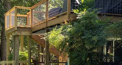 Mulberry House, escape, relax, play in sought after Pisgah Forest