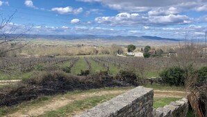 A vineyard with stone walls and a clear view of distant mountains under a partly cloudy sky. - Cottage near Barjac (Saint-Privat-de-Champclos)